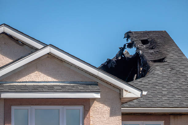 Top rated local Fire Damage Repair specialists in Fort Myer, VA